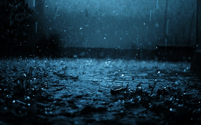 rain, nature