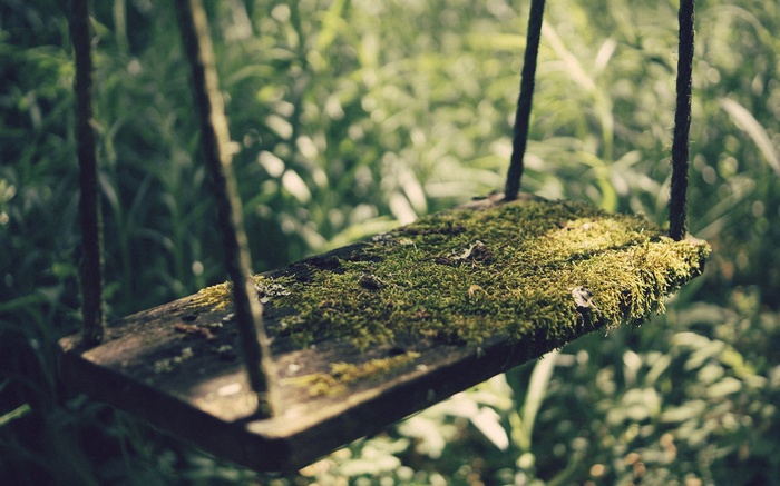Moss-covered wooden swing in a sunlit forest