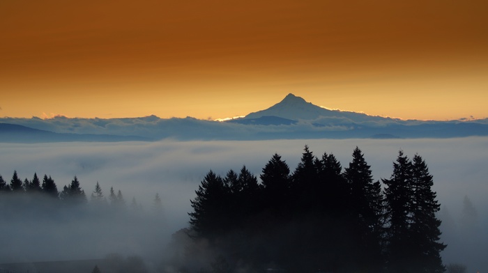 Mountain peak emerging from mist at sunset with trees