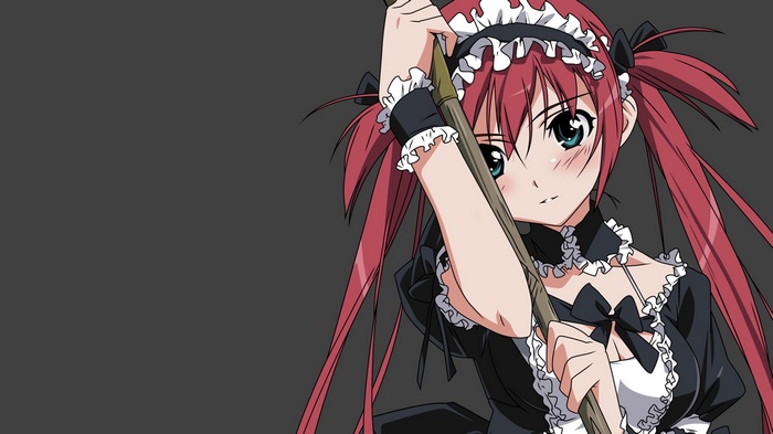 Airi from Queens Blade holding a broom