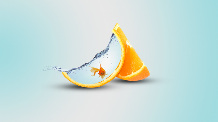 Goldfish swimming in water inside an orange slice