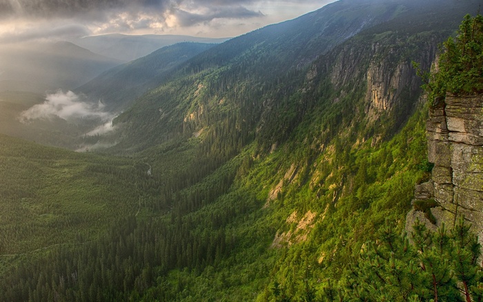 Misty valley with forested mountains at sunset