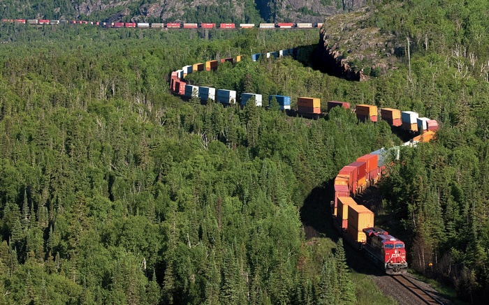 Freight train with containers winding through a forest