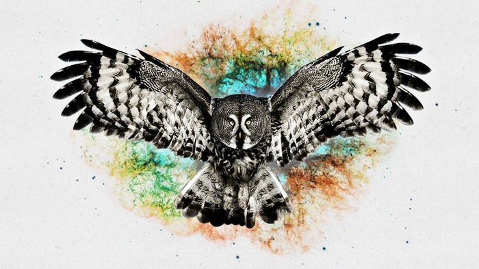 Great Horned Owl in Nebula