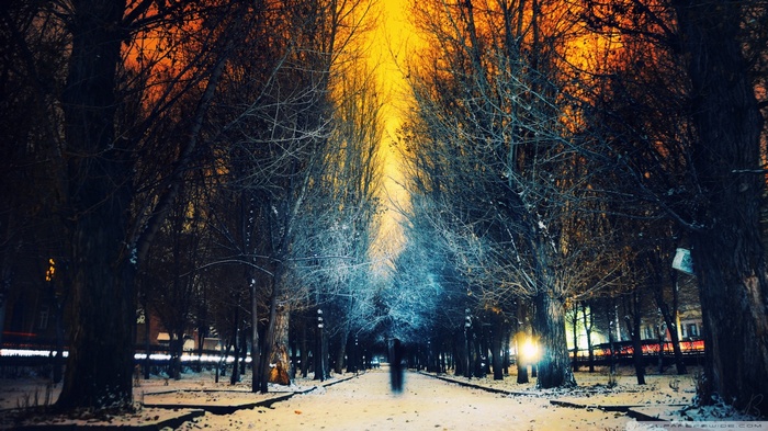 Winter sunset over a snowy park path lined with trees