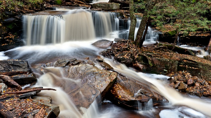 Waterfalls cascading over rocks in a forest