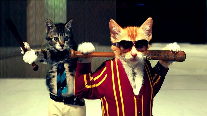 Two cats dressed as gangsters with baseball bats
