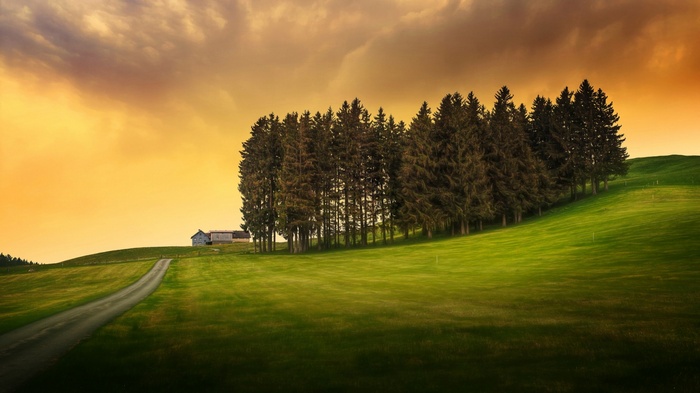 A winding road leads to a house near a forest on rolling hills