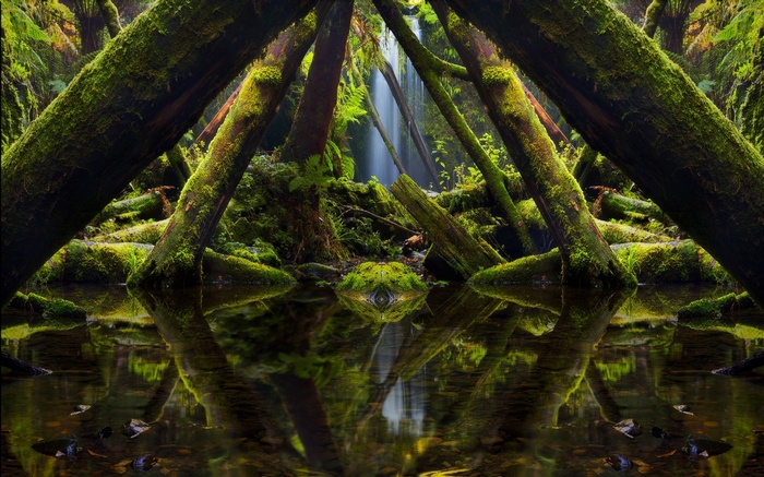 Moss-covered logs frame a waterfall in a forest