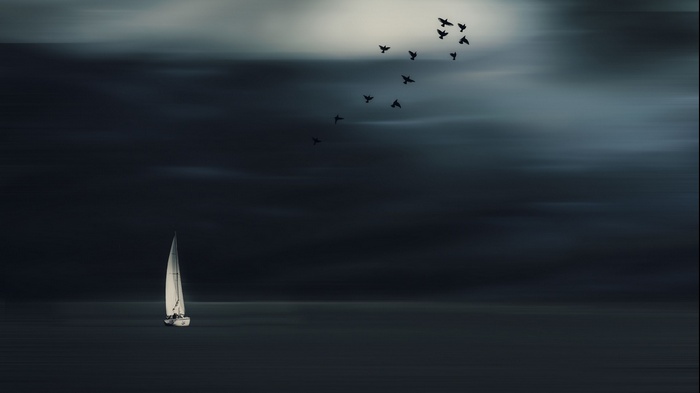 Sailboat and birds against a cloudy sky