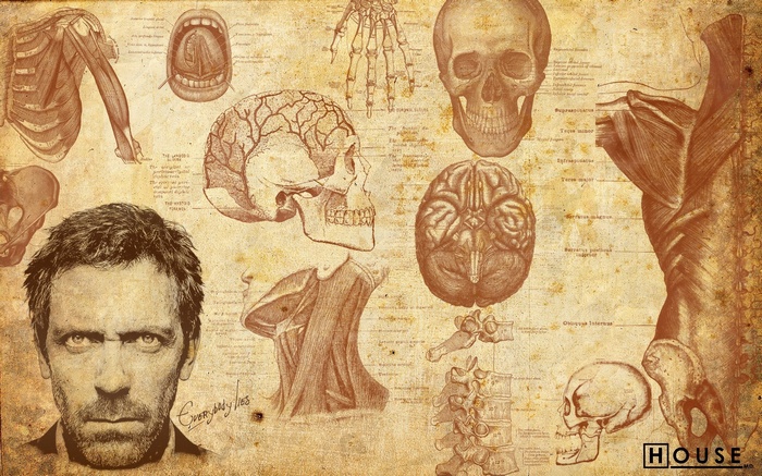 Gregory House and Anatomical Illustrations