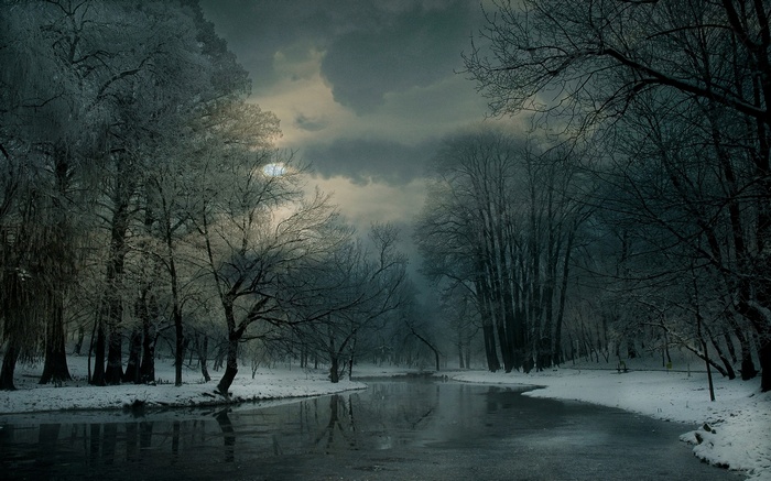 Winter forest with a frozen river and cloudy sky