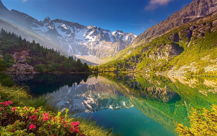 Mountain lake reflection with wildflowers and snowy peaks