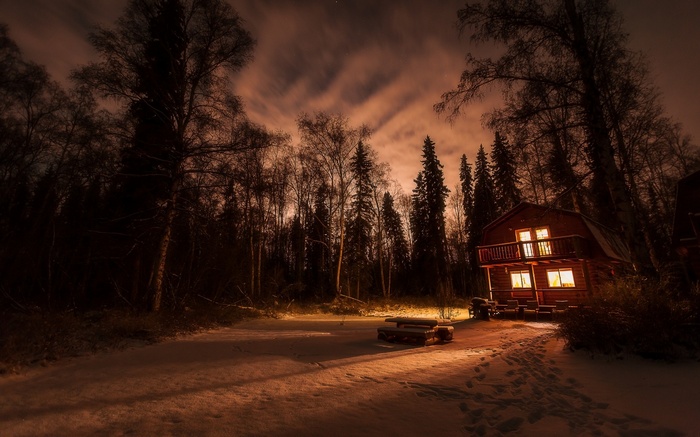 Cozy cabin in a snowy forest at night