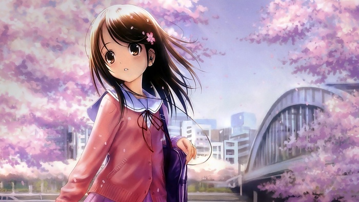 Anime girl with cherry blossoms and bridge