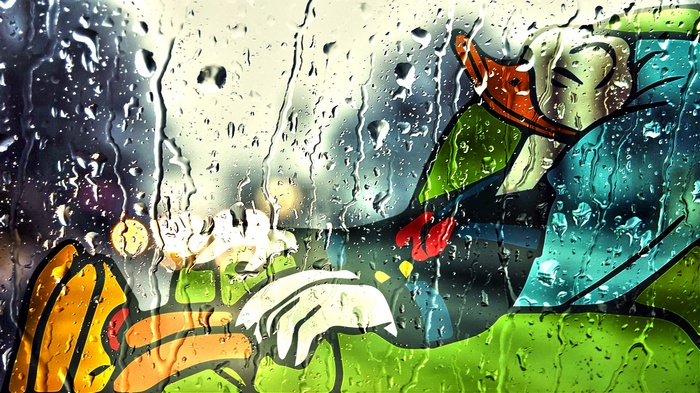 Donald Duck resting on a rainy day