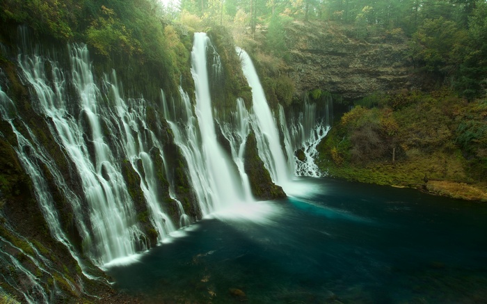 Burney Falls waterfall in a forest