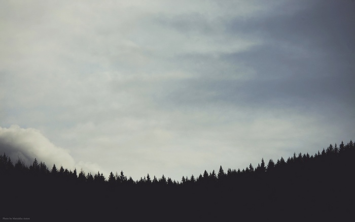 Silhouette of a forest against a cloudy sky