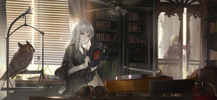 Anime girl with owl and vinyl record