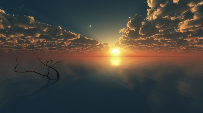 Sunset over the ocean with clouds and a branch