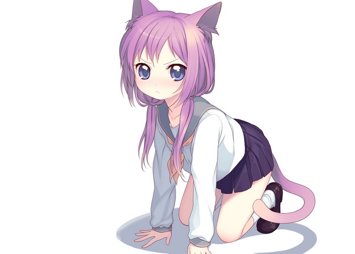 Anime cat girl in school uniform on all fours