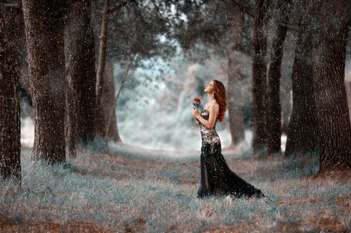 Redhead woman in black dress holding a rose in the snow