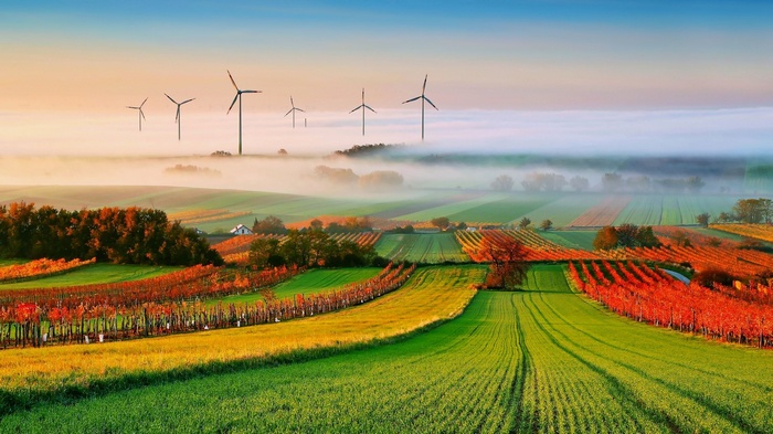 Wind turbines in a misty landscape with vineyards and fields