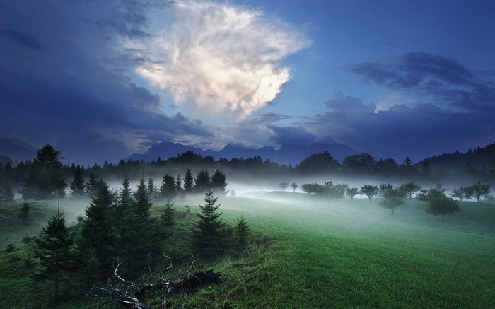 Misty forest landscape with mountains and clouds at dusk