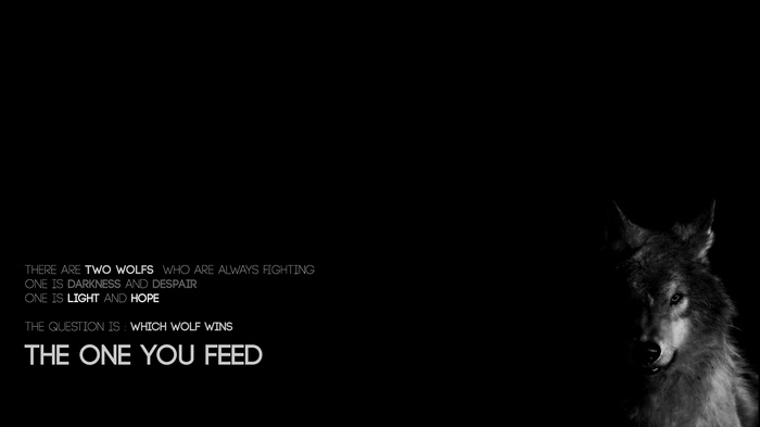 Wolf quote about feeding the light or darkness