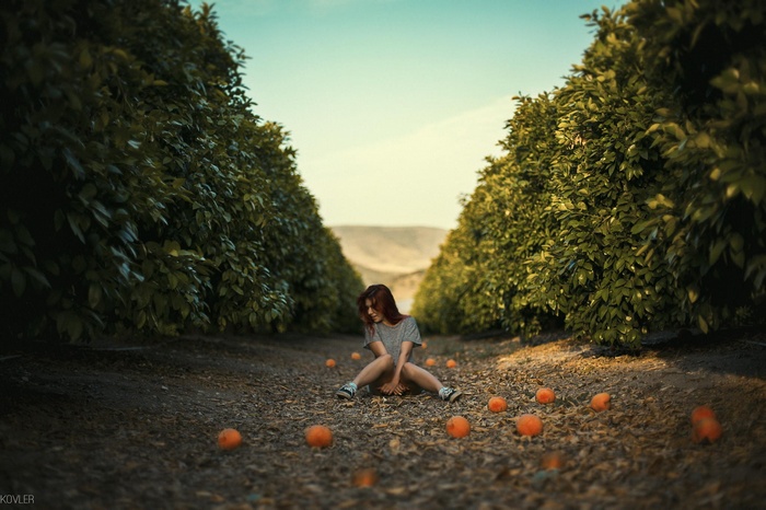 Woman sitting in an orange grove