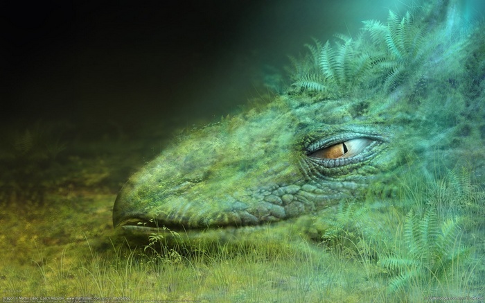 Green dragon camouflaged in ferns and grass