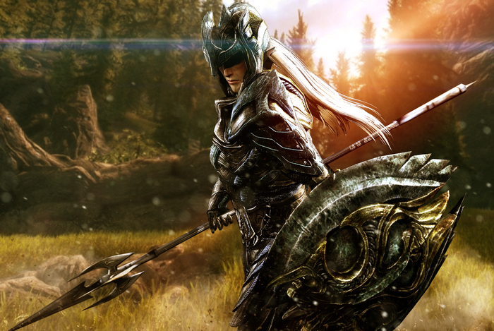 The Elder Scrolls V: Skyrim Warrior with Spear and Shield