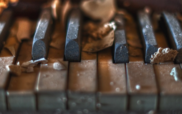 Close-up of old, broken piano keys with debris