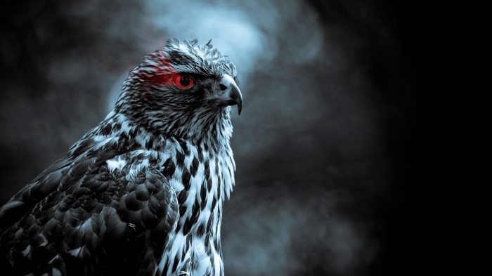 Hawk with glowing red eyes and smoke