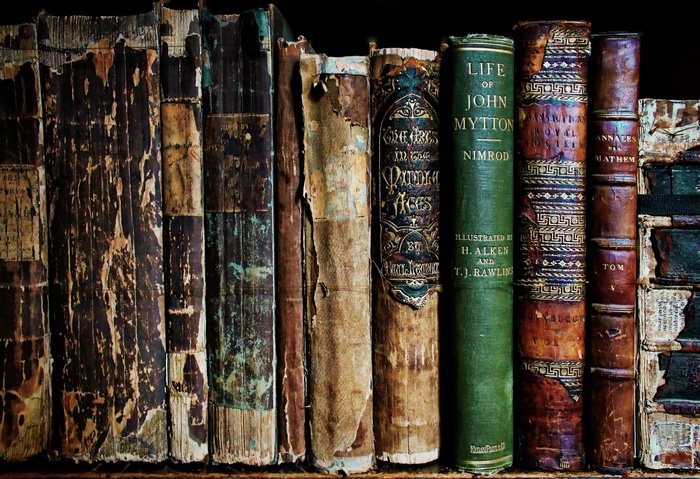 Collection of old, worn books on a shelf
