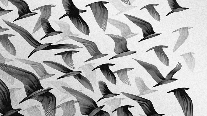 Monochrome digital art of birds in flight