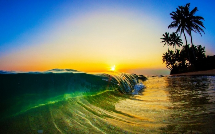 Sunset over a tropical beach with palm trees and waves