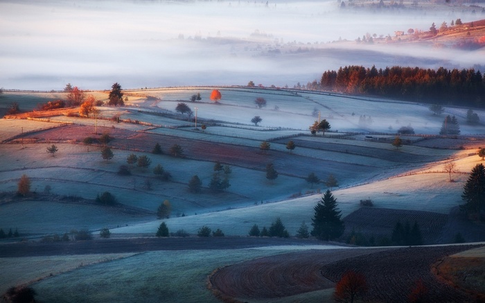Misty morning landscape with frost-covered fields and forest