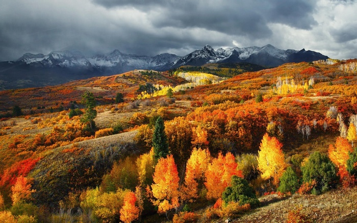 Autumn mountains and forest in Colorado under stormy clouds