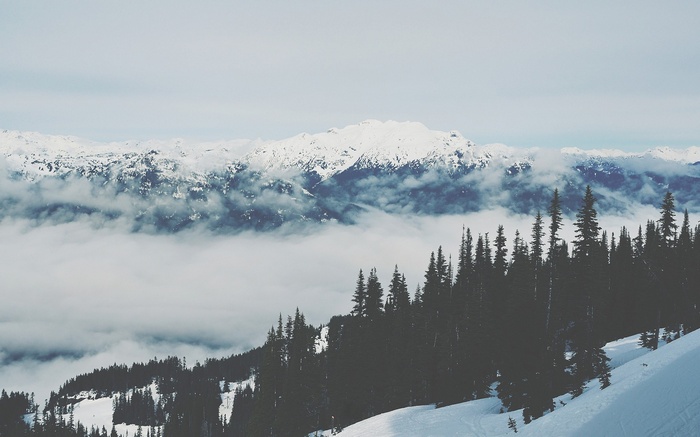 Snow-covered mountains and evergreen trees above the clouds