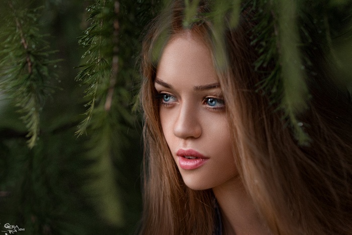 Woman with blue eyes and brunette hair among pine branches