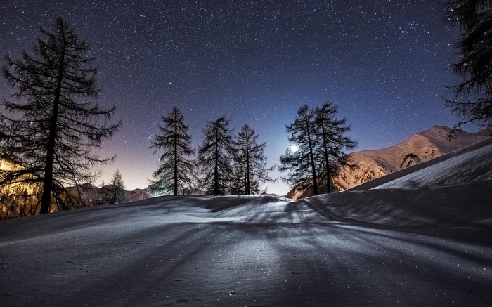 Winter night landscape with snow and stars