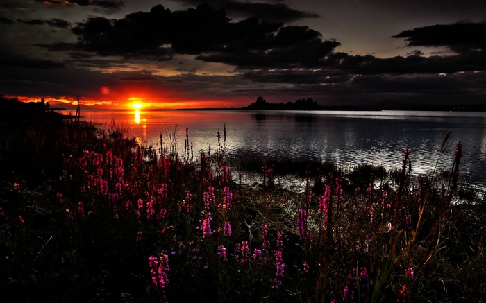 Sunset over a lake with flowers in the foreground