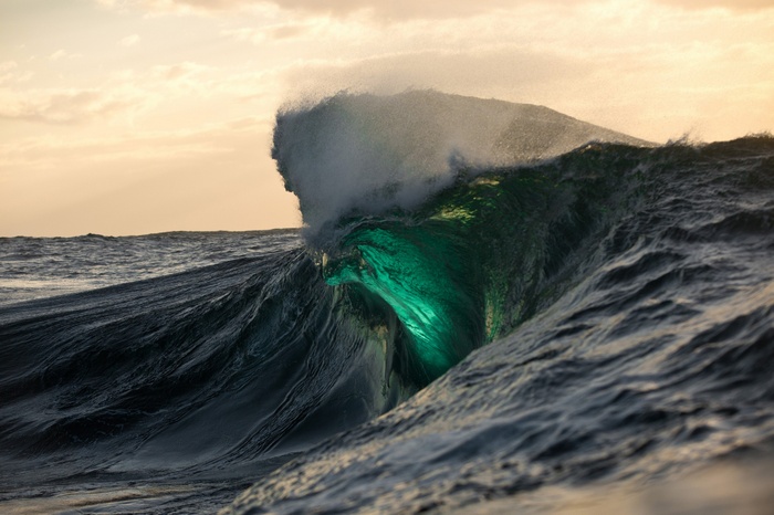 A massive wave glows with green light at sunset