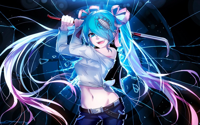 Vocaloid, Hatsune Miku, anime