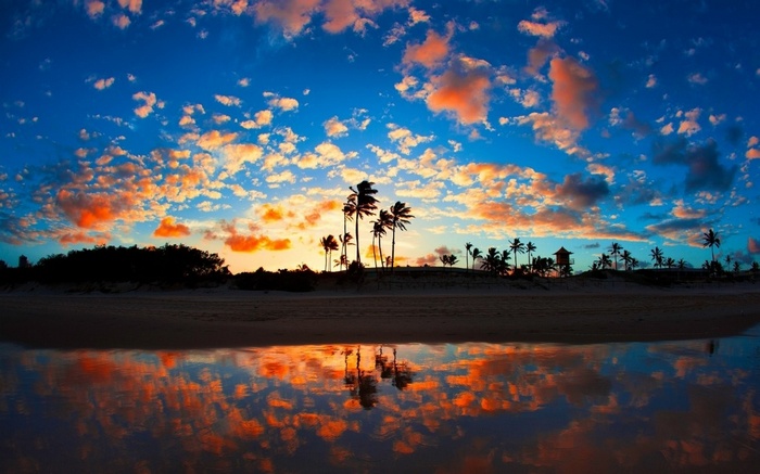 Tropical beach sunset with palm trees and reflection