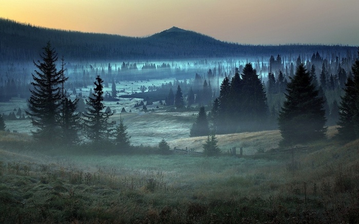 Misty forest landscape with mountains in Germany