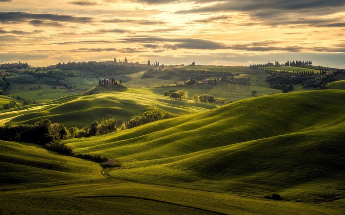 Tuscany landscape at sunset with rolling green hills