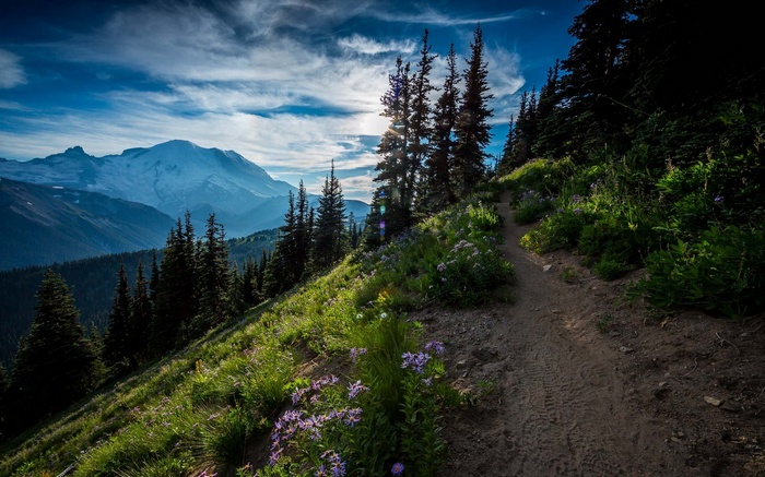 Mountain landscape with a dirt path and wildflowers