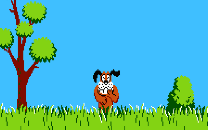 Duck Hunt Dog on NES
